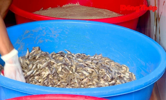trangdiaphuong, thuonglac, nghelammam, sothuong, DongThap