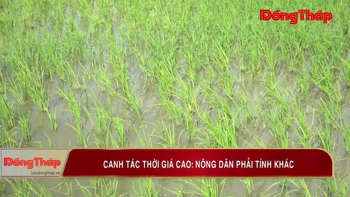 Canh tác thời giá cao: Nông dân phải tính khác