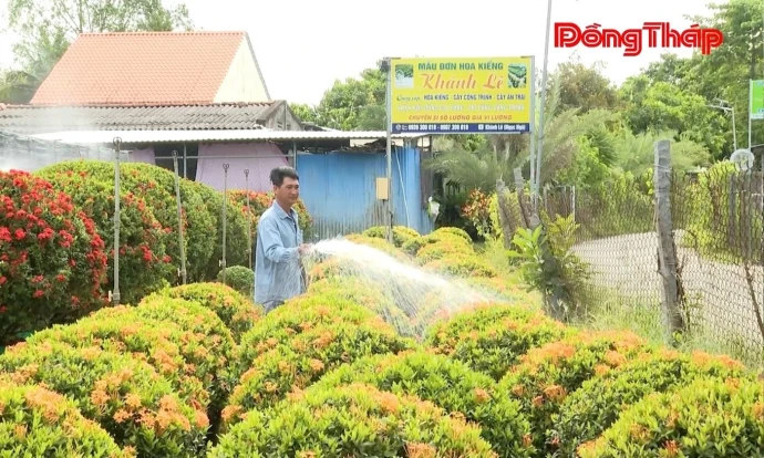 Sa Đéc: Hiệu quả từ nguồn vốn tín dụng chính sách