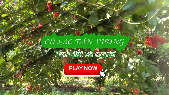 CÙ LAO TÂN PHONG – TÌNH ĐẤT VÀ NGƯỜI