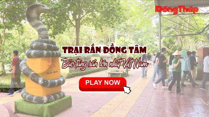 TRẠI RẮN ĐỒNG TÂM – BẢO TÀNG RẮN LỚN NHẤT VIỆT NAM
