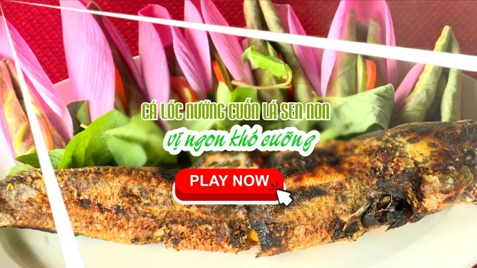 KhamPhaDongThap, CaLocNuongCuonLaSenNon, DongThap, DatSenHong, DongThapMuoi, AmThucDongThap, DacSanDongThap, AmThucMienTay, MonNgonMienTay, HoaSenDongThap