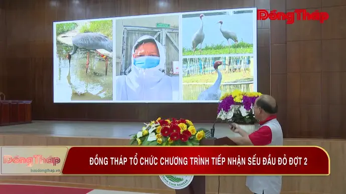Đồng Tháp tổ chức chương trình tiếp nhận sếu đầu đỏ đợt 2