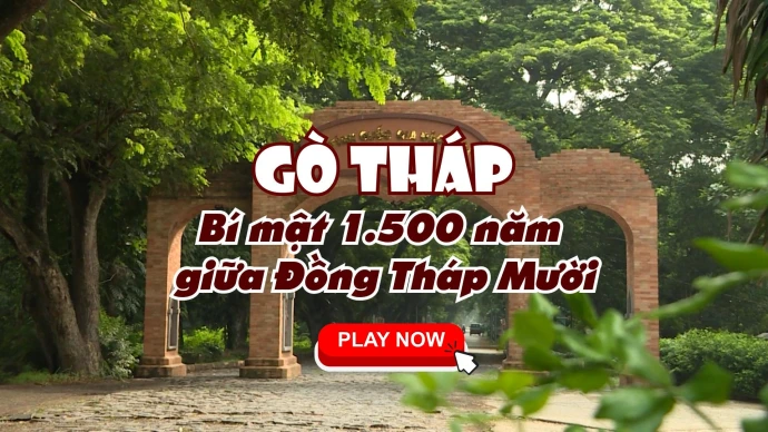 GÒ THÁP - BÍ MẬT 1.500 NĂM GIỮA ĐỒNG THÁP MƯỜI