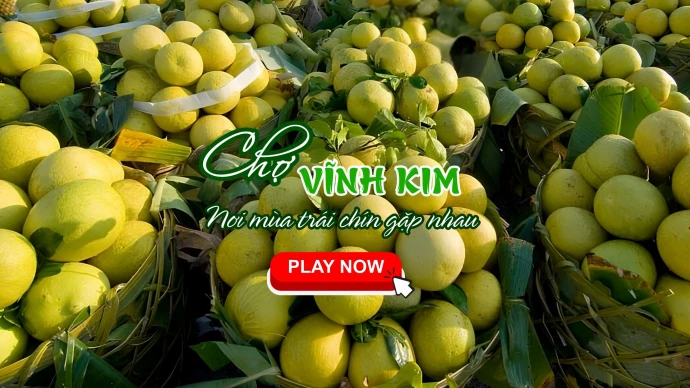 CHỢ TRÁI CÂY VĨNH KIM – NƠI MÙA TRÁI CHÍN GẶP NHAU