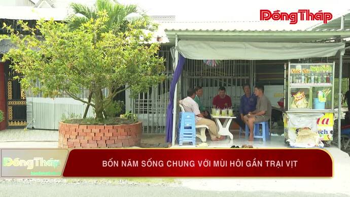Bốn năm sống chung với mùi hôi gần trại vịt