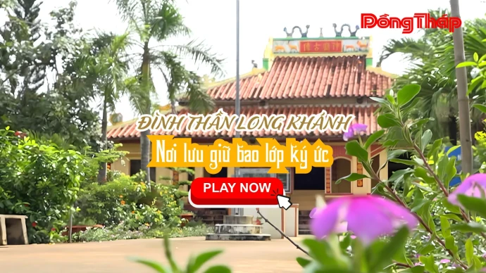 KhamPhaDongThap, DinhThanLongKhanh, LongKhanh, DongThap, DatSenHong, VanHoaDongThap, DiSanVanHoa, DiTichLichSu, VanHoaMienTay, DuLichDongThap, KhamPhaMienTay, MienTay