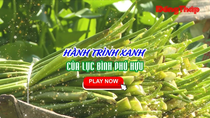KhamPhaDongThap, LucBinhPhuHuu, PhuHuu, DongThap, LangNgheTruyenThong, NgheDanLucBinh, SanPhamLucBinh, SanPhamXanh, TieuDungXanh