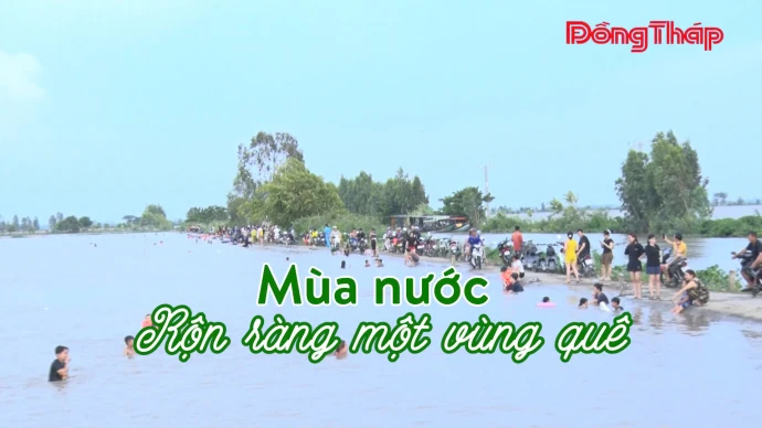 KhamPhaDongThap, DongThap, MuaNuocNoi, MienTay, MekongDelta, DuLichDongThap, TraiNghiemMienTay