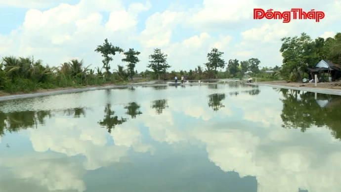 baodongthap, thoisu, baove, cagiong, mualu, dongthap