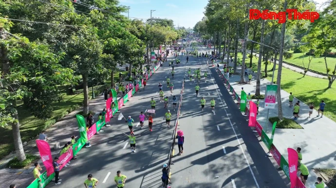 baodongthap, thoisu, thời_sự, marathon, đất_sen_hồng, vpbank, caolanh, dulich, dongthap