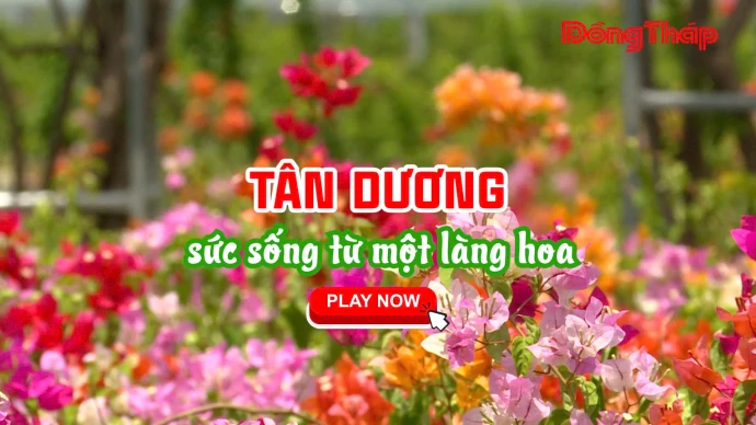KhamPhaDongThap, DongThap, HoaGiayTanDuong, TanDuong, LangNgheTruyenThong, LangHoaDongThap, DuLichDongThap, MienTay