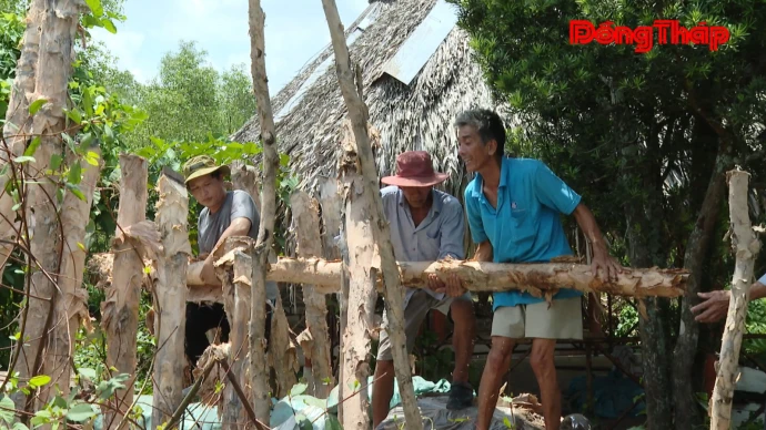 baodongthap, thoisu, hiepduc, chungsuc, trieucuong, dongthap