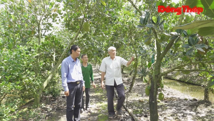 Thêm điểm tựa, tiếp sức nông dân Tháp Mười phát triển kinh tế