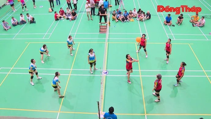 baodongthap, thoisu, bongchuyenhoi, THĐT, sctv, dongthap