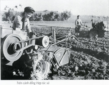 Hàng ngàn lượt nông dân tải đạn. Ảnh: Sách ảnh Việt Nam 30 năm chiến tranh giải phóng 1945-1975.