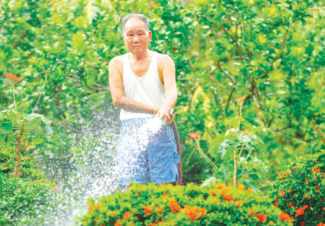 Buổi sáng, tưới kiểng và cây trái quanh nhà.