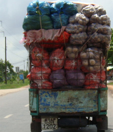 Xe lam 63N-1202  chở rau củ từ Mỹ Tho đi qua địa bàn  xã Long Bình Điền   (Chợ Gạo).