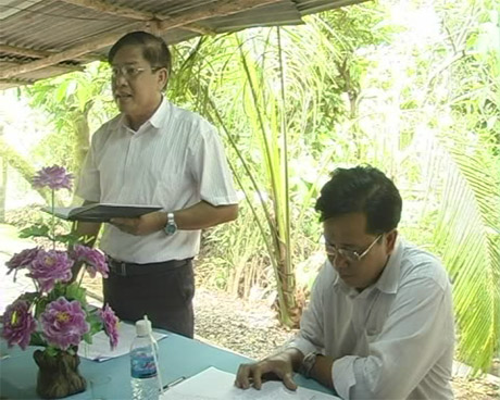 HTX Mỹ Lương cần phát triển bưởi lông Cổ Cò thành cây ăn trái chủ lực thứ 2 của huyện.