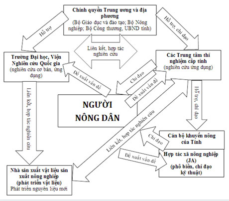 Sơ đồ: Từ việc phát triển kỹ thuật canh tác mới đến việc phổ cập và chỉ đạo sản xuất.
