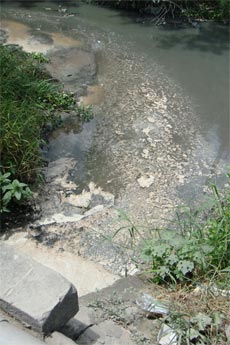 Miệng cống cách trạm xử lý nước thải khoảng 15m đang xả nước bẩn nổi bọt trắng ra kinh Nam Vang (phải) và dòng kinh trở thành kinh nước đen (trái).