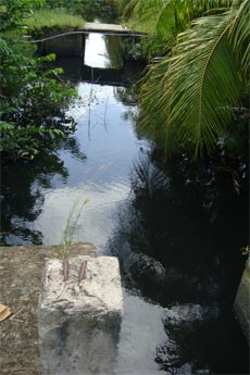 Miệng cống cách trạm xử lý nước thải khoảng 15m đang xả nước bẩn nổi bọt trắng ra kinh Nam Vang (phải) và dòng kinh trở thành kinh nước đen (trái).