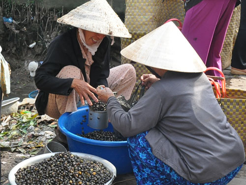 Thịt hến được người tiêu dùng ưa chuộng. 