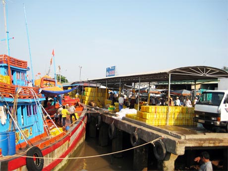 Thiếu “bạn ghe” là khó khăn làm giảm hiệu quả đánh bắt, gây ảnh hưởng đến sản lượng hải sản khai thác (ảnh chụp tại Cảng cá Mỹ Tho).