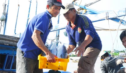 Cảnh nhộn nhịp ở Cảng cá Vàm Láng sau chuyến đi biển trở về.