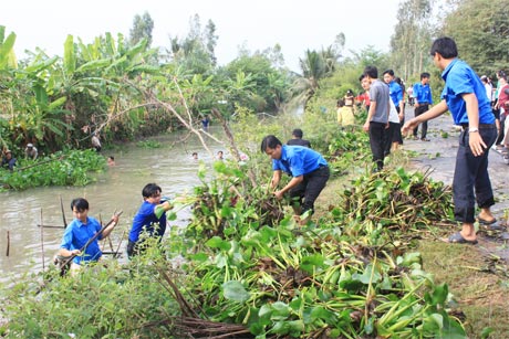 ĐV-TN ra quân vớt lục bình khơi thông dòng chảy.
