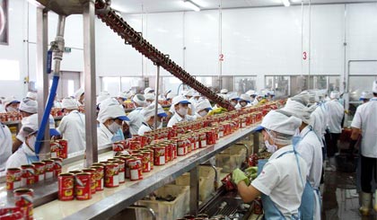Dây chuyền sản xuất của Công ty TNHH Royal Foods.