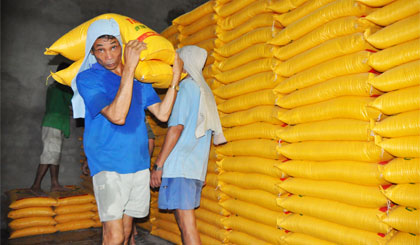 Nhập gạo vào kho sau khi mua tạm trữ từ mô hình CĐL.