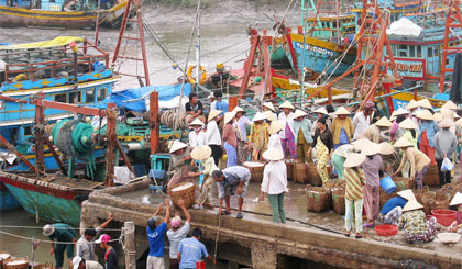 Chuyển hải sản len bờ ở Cáng cá Vàm Láng.