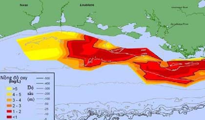  Vùng chết trên vịnh Mexico đã mở rộng diện tích. Ảnh: NOAA.