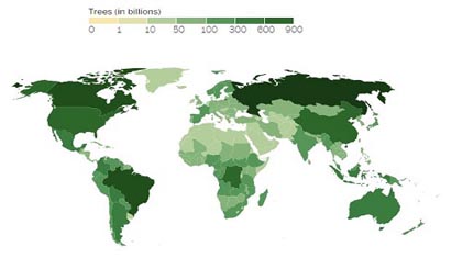 Bản đồ minh họa số lượng cây xanh ở các quốc gia trên thế giới tính theo đơn vị tỷ. Ảnh: Nature.