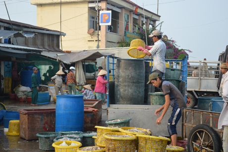 Vận chuyển hải sản lên xe.