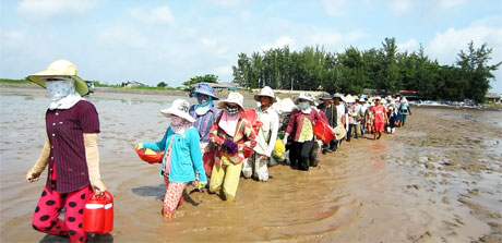 Người cào nghêu ra bãi nghêu bắt đầu một ngày làm việc cực nhọc.