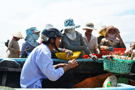 Những người cào nghêu chờ đến lượt mình để cân nghêu.