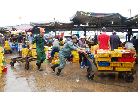 Quang cảnh tấp nập ở Cảng cá Mỹ Tho.