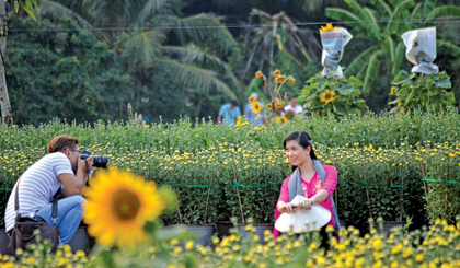 Cứ mỗi độ Xuân về, “Vương quốc hoa” ở xã Mỹ Phong,  TP. Mỹ Tho lại ngập tràn sắc hoa, cây cảnh,  níu chân du khách đến tham quan, chụp ảnh.