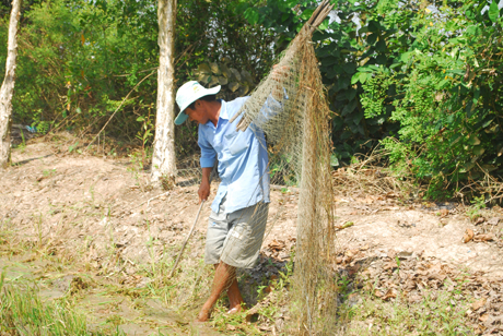 Anh Lê Văn Phú rào lưới xung quanh ruộng để đàn vịt không ra ngoài.