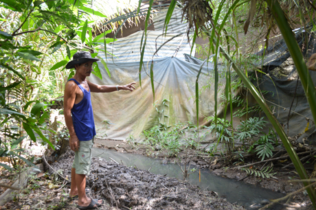 Ông Sáu trước con rạch kế bên trại nuôi heo được ông khai thông một đoạn có nước đen ngòm.