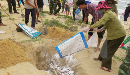 Ngư dân xã biển Đức Trạch (huyện Bố Trạch) cùng lực lượng Biên phòng thu gom, chôn lấp cá chết dạt vào bờ. Ảnh: Võ Dung/TTXVN