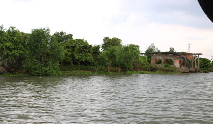 Tình hình sạt lở ở cù lao Tân Phong ngày càng nghiệm trọng, ảnh hưởng đến sản xuất và đời sống người dân