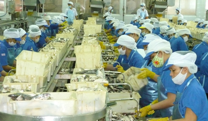 Phụ nữ và nam giới có điều kiện tiếp cận cơ hội việc làm như nhau.