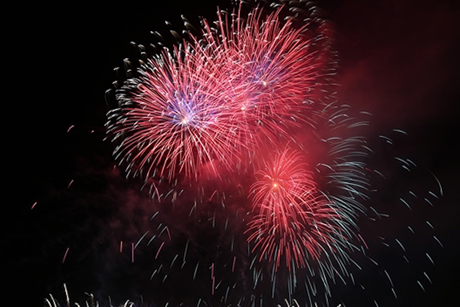 Ảnh: VGP/Lưu Hương