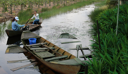 Chèo xuồng tham quan cánh đồng khóm, thanh long là một trong những sản phẩm du lịch Khu du lịch nghỉ dưỡng Bảo Đăng đang khai thác