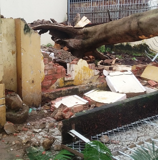 Bức tường rào bị sập do cây Phượng ngã đổ