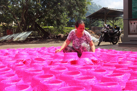 Sau khi nhuộm màu, nón được phơi ngoài nắng để màu thấm sâu vào từng nan lá.