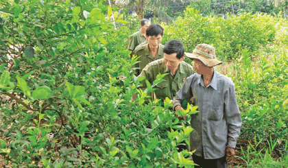 Cựu chiến binh xã Cẩm Sơn trao đổi kinh nghiệm sản xuất.